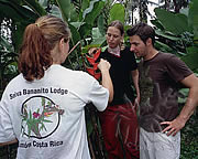 Selva Bananito Ecolodge and Preserve