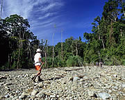 Selva Bananito Ecolodge and Preserve