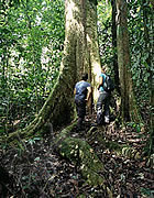 Selva Bananito Ecolodge and Preserve