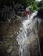 Selva Bananito Ecolodge and Preserve