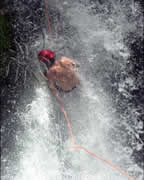 Selva Bananito Ecolodge and Preserve