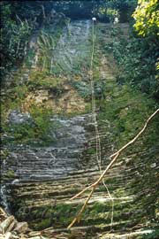 Selva Bananito Ecolodge and Preserve