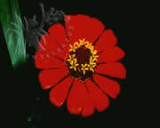 Selva Bananito Ecolodge and Preserve