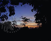 Selva Bananito Ecolodge and Preserve