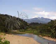 Selva Bananito Ecolodge and Preserve