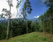Selva Bananito Ecolodge and Preserve