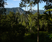 Selva Bananito Ecolodge and Preserve